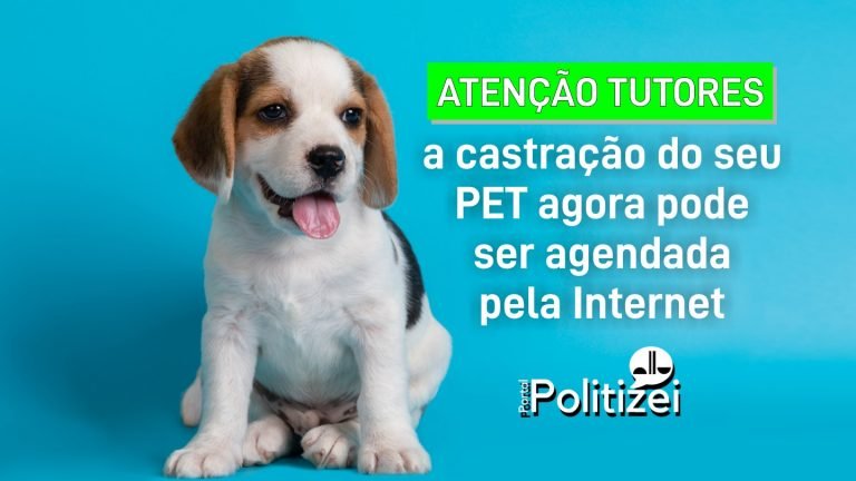 Chega de filas: Agora é possível agendar a castração do seu PET de forma online, saiba como:
