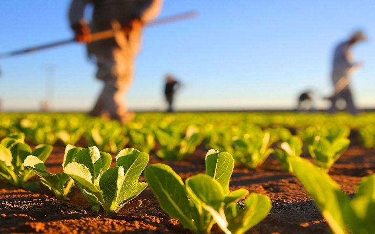 Governo entrega veículos e implementos a produtores rurais
