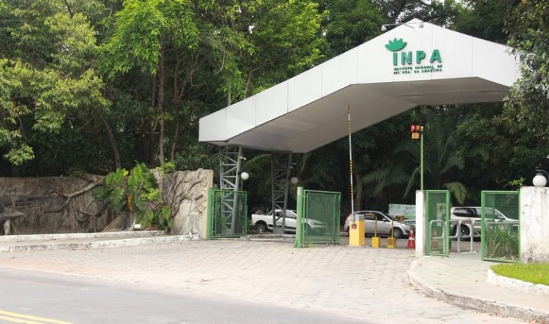 Ambientalistas acionam MPF contra investimentos na Amazônia