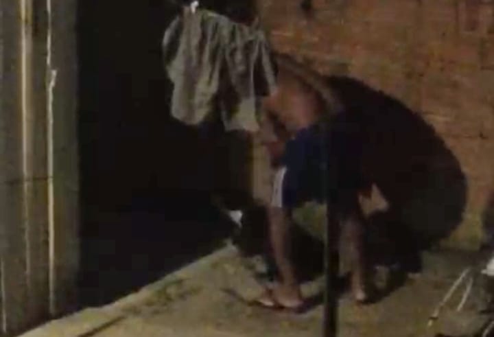 Cão espacando pelo Dono é resgatado por Deputada em Manaus, veja o vídeo: