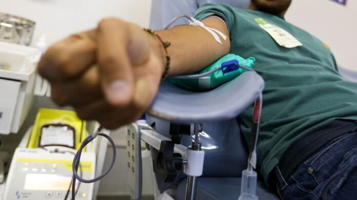 ANVISA e STF gays podem doar sangue
