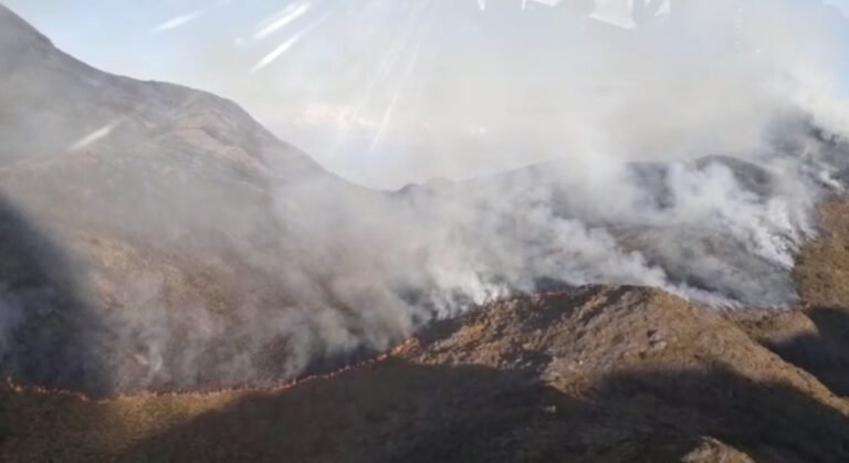 Pico Alto SP