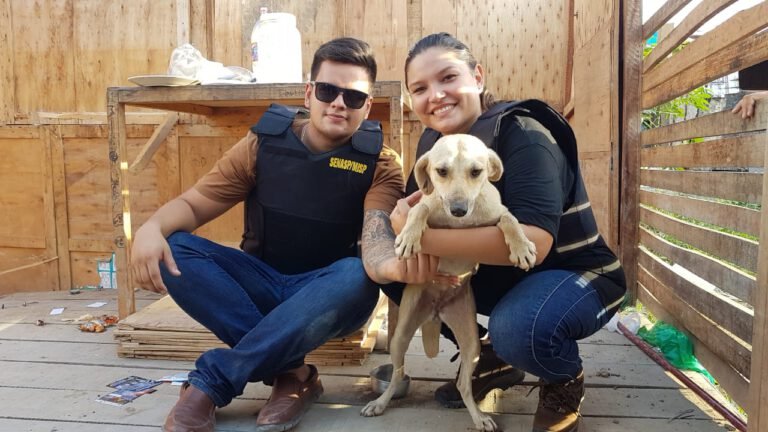 Joana Darc cumpre promessa e hospital veterinário público sai do papel