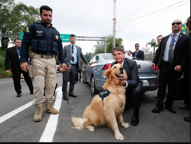 Bolsonaro cumpre promessa e cria departamento para cuidar dos pets