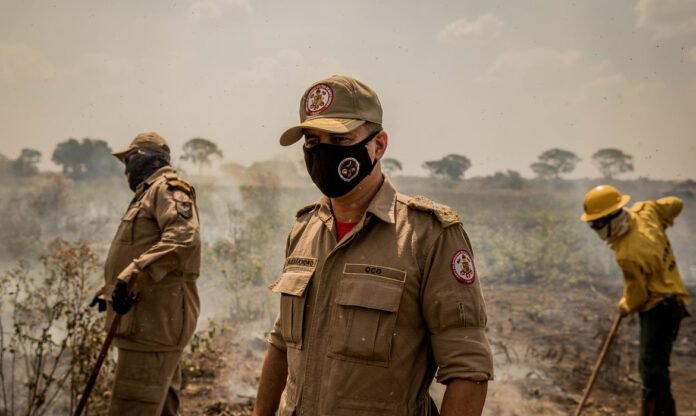 Foto: Reprodução Pantanal