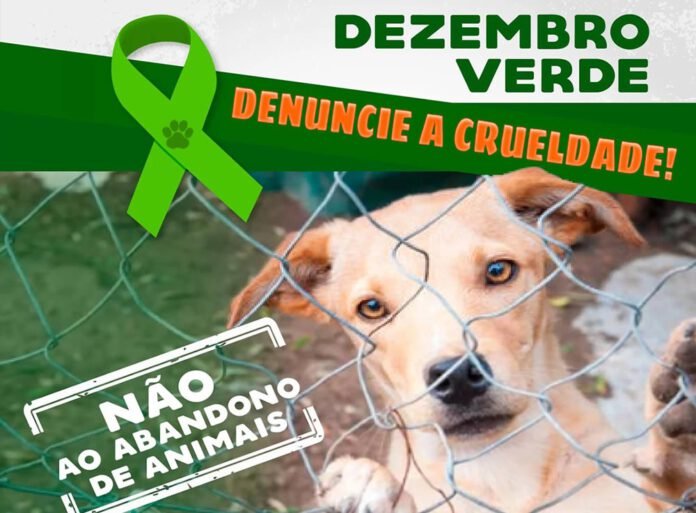 Dezembro verde