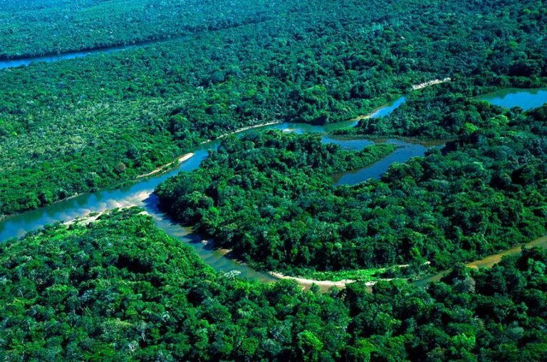 regularização fundiária na Amazônia
