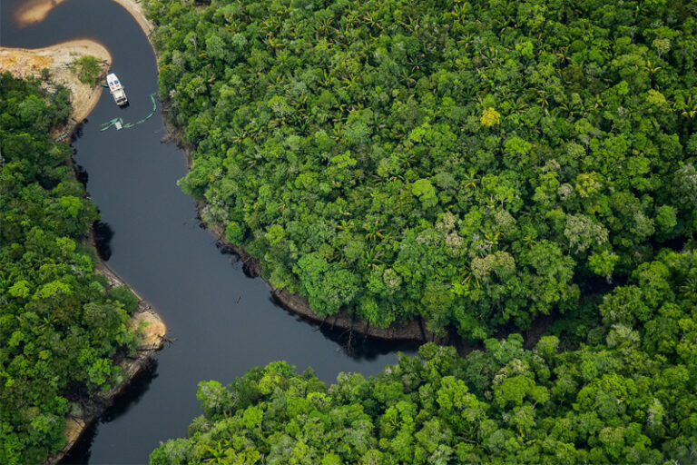 Governo espera R$ 3 bi por ano de iniciativa privada para adoção de parques na Amazônia