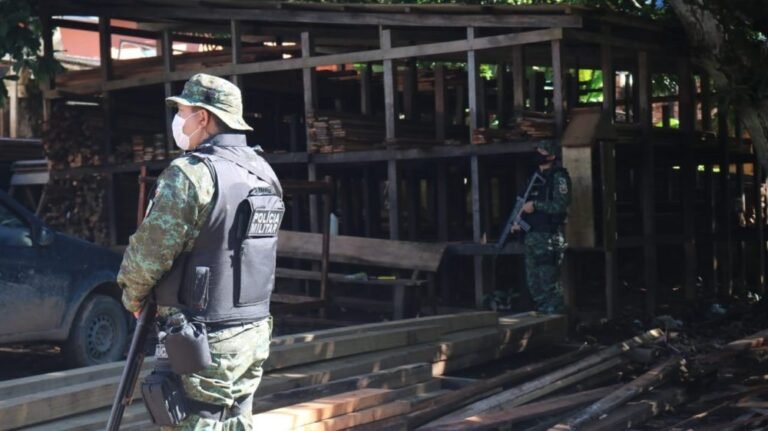 Operação contra desmatamento é deflagrada em Humaitá, Sul do AM