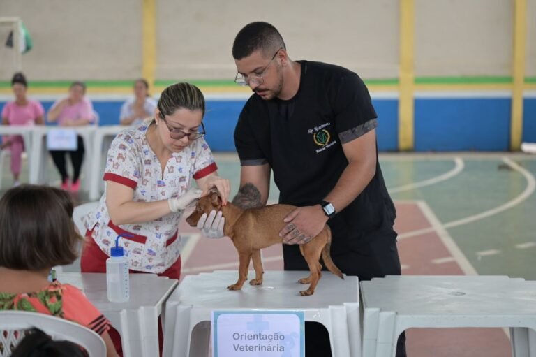 Projeto idealizado por Joana Darc vai castrar 10 mil animais no interior e nas comunidades indígenas isoladas