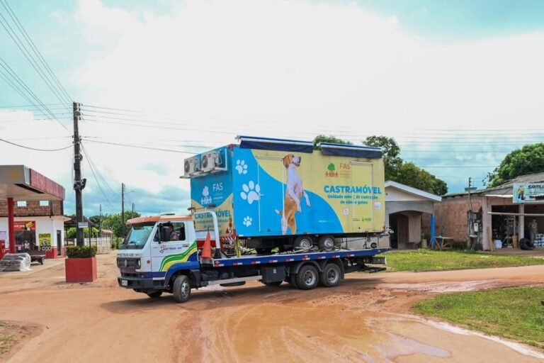 Castramóvel vai atender animais de rua e de pessoas carentes em Manicoré, interior do AM