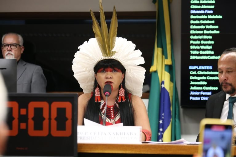 Comissão da Amazônia elege a deputada Célia Xakriabá