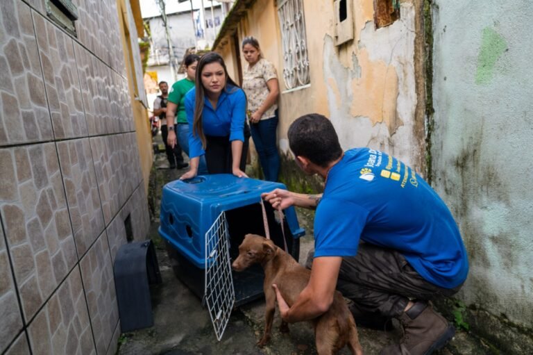 Joana Darc resgata animais de família em situação de vulnerabilidade social e psicológica