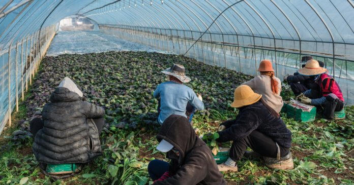 A-Coreia-do-Sul-esta-Desesperada-por-Trabalhadores-Estrangeiros.jpg South Korea Is Desperate for Foreign Workers