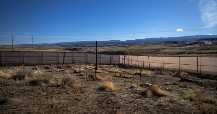 Como-uma-Fazenda-de-Corpos-Pode-Ajudar-a-Combater-o.jpg How a ‘Body Farm’ Might Help Tackle Fentanyl Abuse