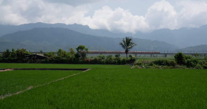 Destino-Turistico-Cenico-de-Taiwan-Enfrenta-Riscos-de-Terremotos-de.jpg Taiwan’s Scenic Tourist Destination Faces Earthquake Risks from Active Faults
