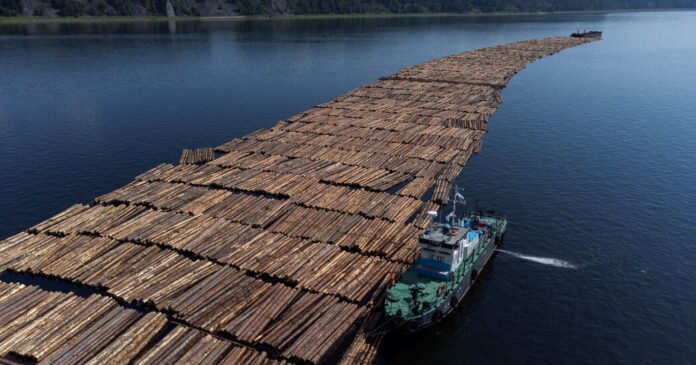 Novo-Metodo-Que-Determina-a-Origem-da-Madeira-Pode-Reduzir.jpg New Method That Pinpoints Wood’s Origin May Curb Illegal Timber