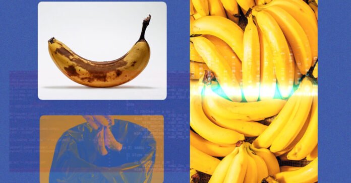 Outro-Alvo-da-Inteligencia-Artificial-Desperdicio-de-Alimentos.jpg Another A.I. Target: Food Waste
