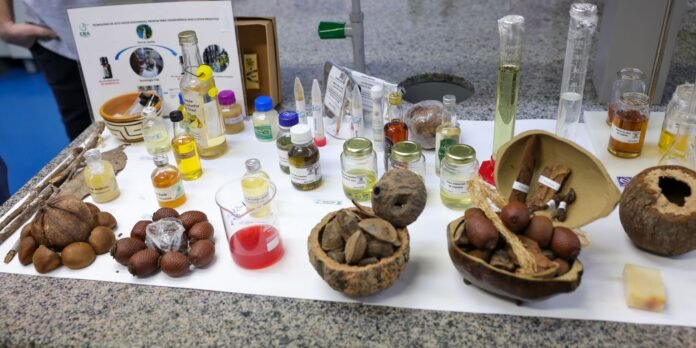 Centro-desenvolve-modelo-de-negocios-com-base-na-biodiversidade.jpg Centro desenvolve modelo de negócios com base na biodiversidade
