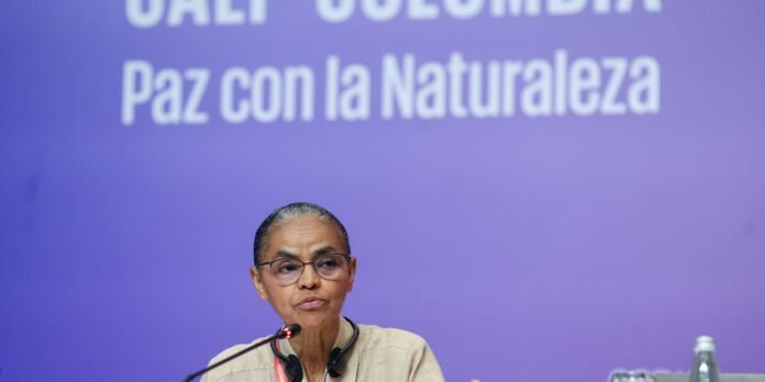 Txai-Surui-recebeu-credencial-e-pedido-de-desculpas-diz-Marina.jpg Txai Suruí recebeu credencial e pedido de desculpas, diz Marina