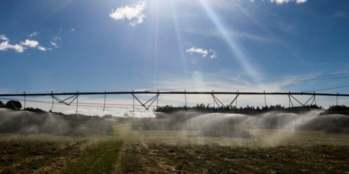 Entenda como ficam exportações agrícolas após acordo Mercosul-UE