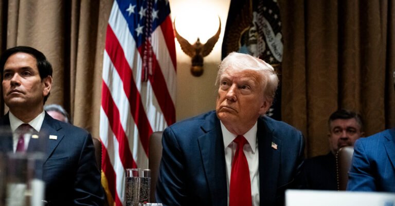 Alguns aliados europeus temem que Trump esteja disposto a destruí -los
