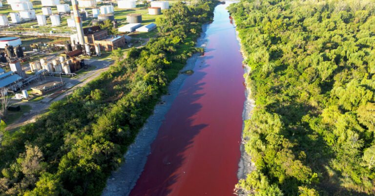 Corrente perto de Buenos Aires fica vermelho, 'como um rio coberto de sangue'
