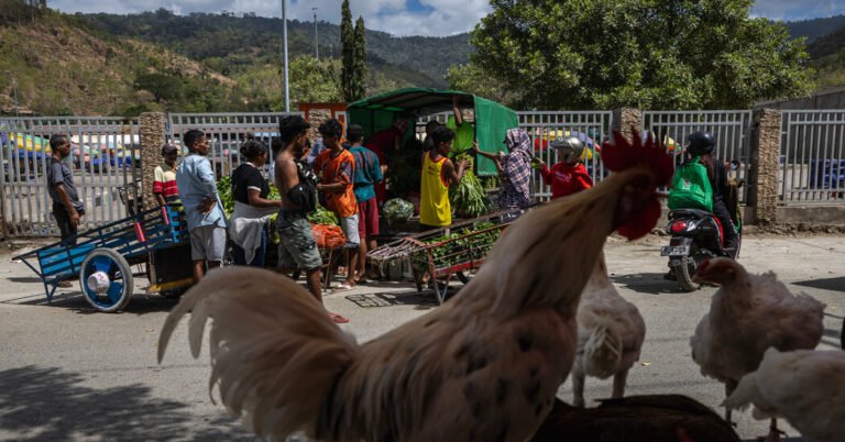 Desafios de Timor Leste duas décadas após a independência
