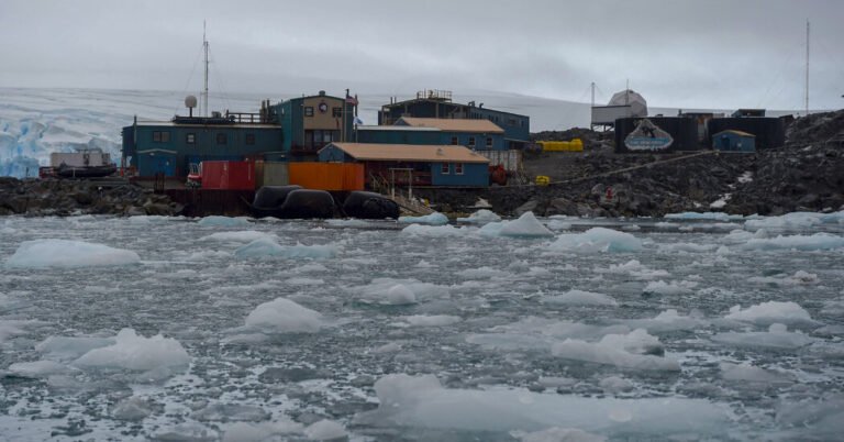 Os fãs de Buffalo Bills têm difícil, especialmente na Antártica
