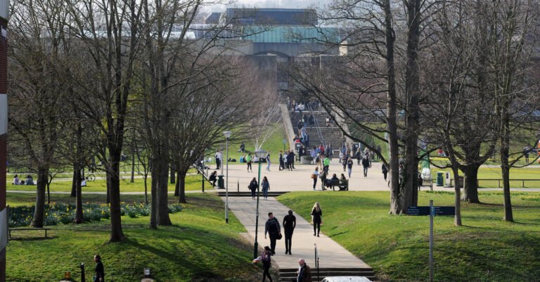 A Universidade do Reino Unido recebe uma boa expressão de liberdade de expressão sobre a política de transgêneros
