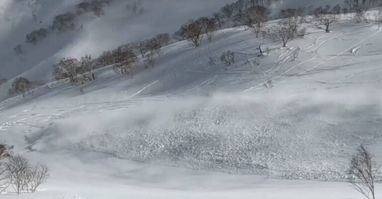 As encostas de esqui do Japão têm muita coisa boa: neve
