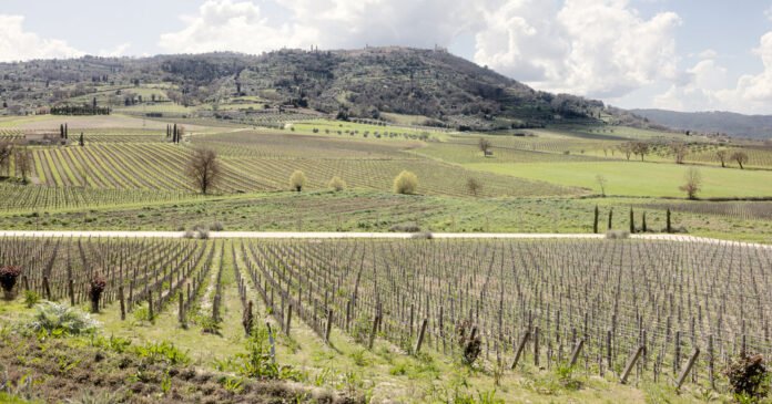 Segure o Chianti: ameaça tarifária deixa garrafas italianas aterradas
