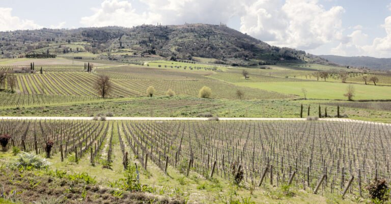 Segure o Chianti: ameaça tarifária deixa garrafas italianas aterradas
