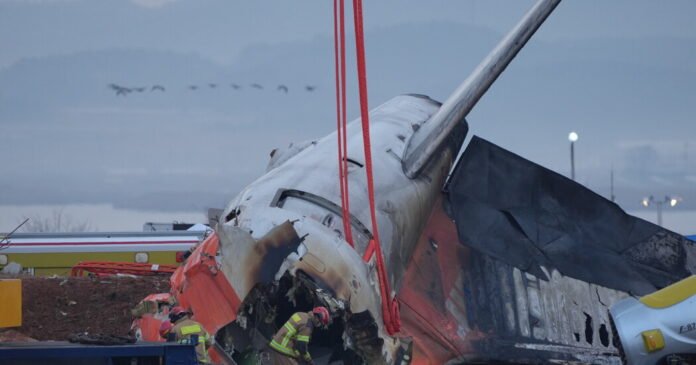 Aeroporto-recebeu-um-aviso-de-ataque-de-passaro-dias-antes.jpg Aeroporto recebeu um aviso de ataque de pássaro dias antes do acidente mortal da Coréia do Sul