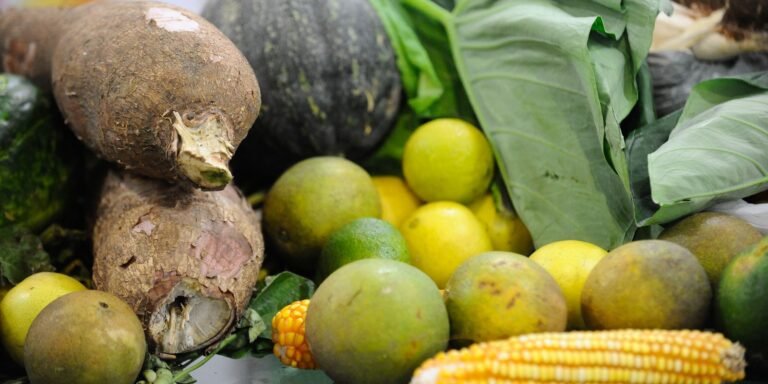 Preço da Cesta Básica cai em 15 de 17 capitais pesquisadas