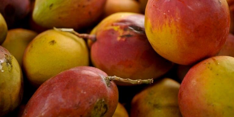 Abrafrutas apoia plano e pede atenção a pequenos produtores