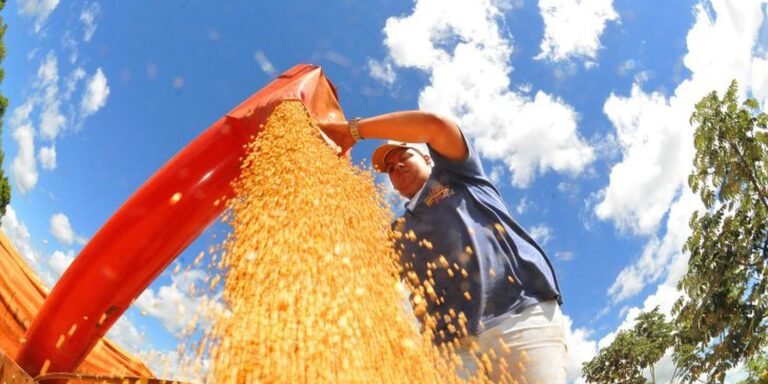 Agropecuária ajudou oito estados a crescerem mais que o Brasil em 2023