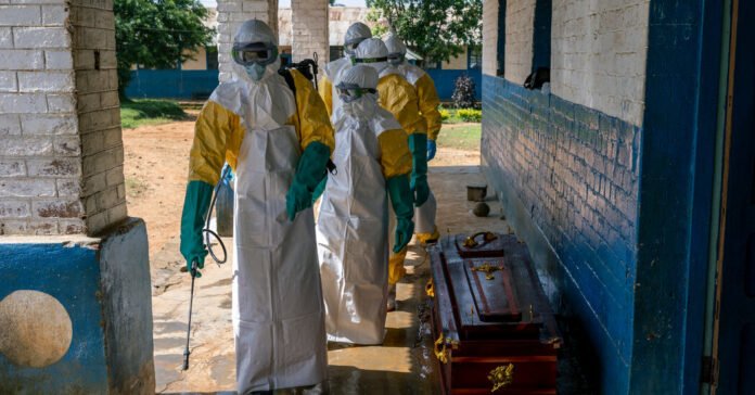 A-medida-que-o-Ebola-se-espalha-os-cientistas-correm.jpg À medida que o Ébola se espalha, os cientistas correm para encontrar vacinas e tratamentos